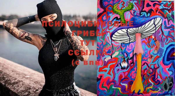 мет Горно-Алтайск
