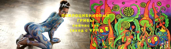 мет Горно-Алтайск
